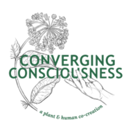 Converging Consciousness Logo_Transparent Background.png